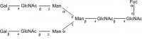 SILu�Carb Glycan Standard 13C Biantennary G2F 