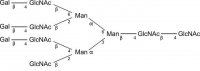 SILu�Carb Glycan Standard 13C Tetraantennary A4G3bcd 
