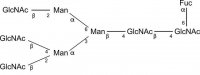 SILu�Carb Glycan Standard 13C Triantennary G0F 