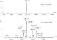 SILu�Lite SigmaMAb Cetuximab Monoclonal Antibody 