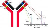 SILu�MAb Infliximab Stable-Isotope Labeled Monoclonal Antibody 