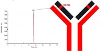SILu�MAb Rituximab Stable-Isotope Labeled Monoclonal Antibody 