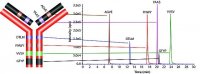 SILu�MAB Stable-Isotope Labeled Universal Monoclonal Antibody Standard human 