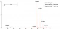 SILu�Prot PTX3 Pentraxin-related protein PTX3 human 