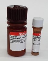 ReadyShield� Phosphatase Inhibitor Cocktail 