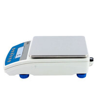 Прецизионные весы WLC 6/A2/1 Radwag WL-206-0469