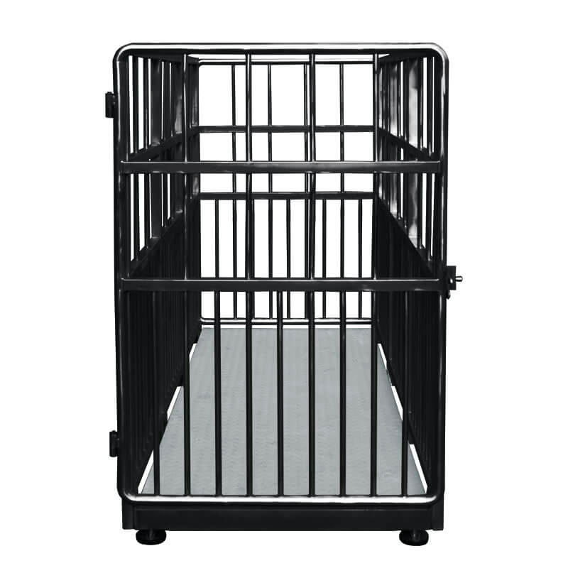Весы для скота H315.4I.2000.S2 Radwag WP-237-0002