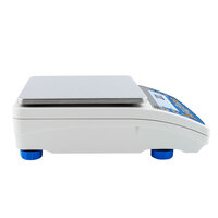 Прецизионные весы PS 600.R2.1 Radwag WL-212-0071