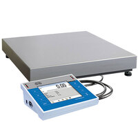 Весы WLY 60.C2.K.PGC Radwag WK-307-0002