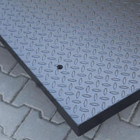 Платформенные весы H315.4.6000.C10 Radwag WP-231-0002