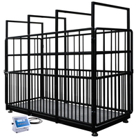 ���� ��� ����� H315.4I.2000.S2 Radwag WP-237-0002