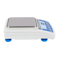 Прецизионные весы WTC 600 Radwag WL-210-0003