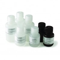����� ������� Protein A/G HP SpinTrap Cytiva 28913567