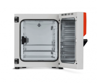 Инкубатор с естественной конвекцией BD 56 Binder 9010-0323