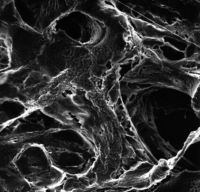 ������, ������, d ��� 5,0 ���, d �������� 90 ��, 25 ��. Merck (Millipore) LSWP09025