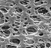 ������, ��������, d ��� 0,45 ���, d �������� 90 ��, 50 ��. Merck (Millipore) HPWP09050