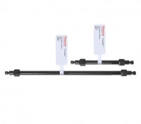 ������� CarboPac PA300-4 ��� Thermo Scientific Dionex 303347