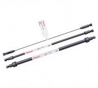 ������� IonPac AS10 IC Thermo Scientific Dionex 043124