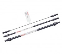 ������� IonPac ICE-Borate IC Thermo Scientific Dionex 053945